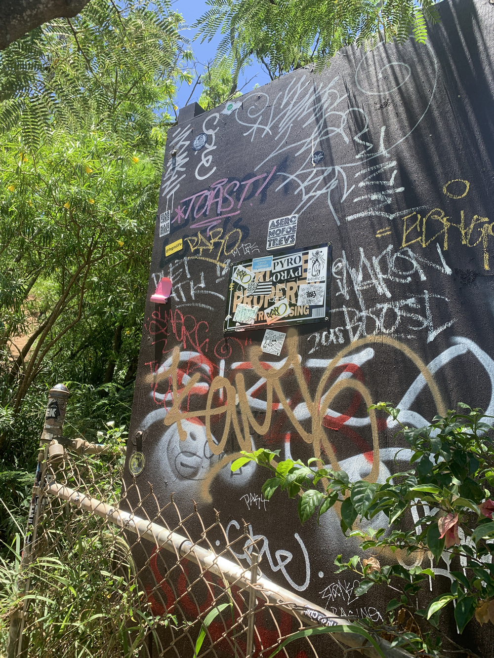 トレイルとビーチを満喫^_^の写真5