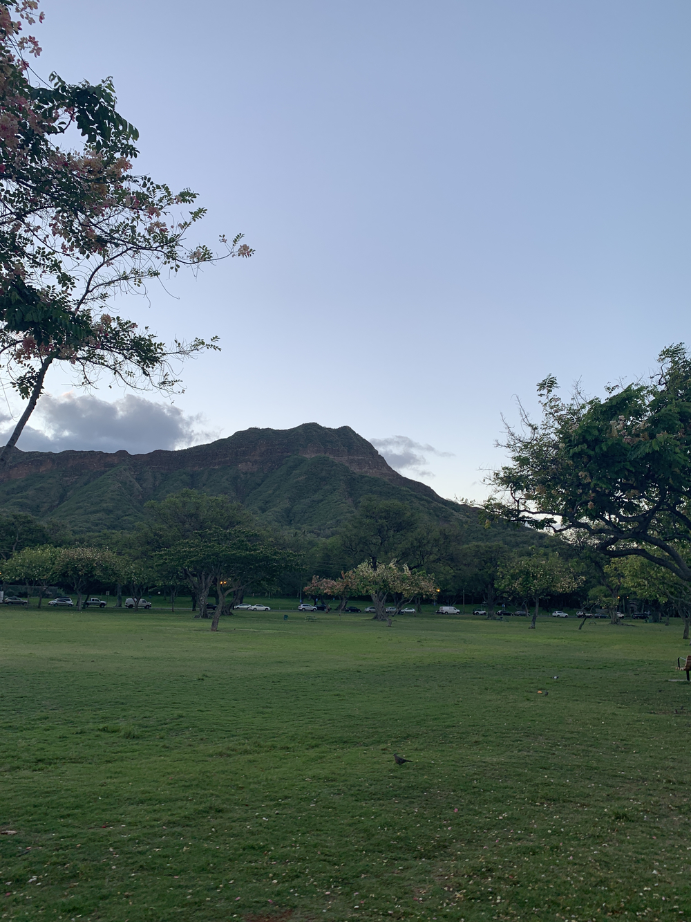 アロハな風を感じながらの写真3