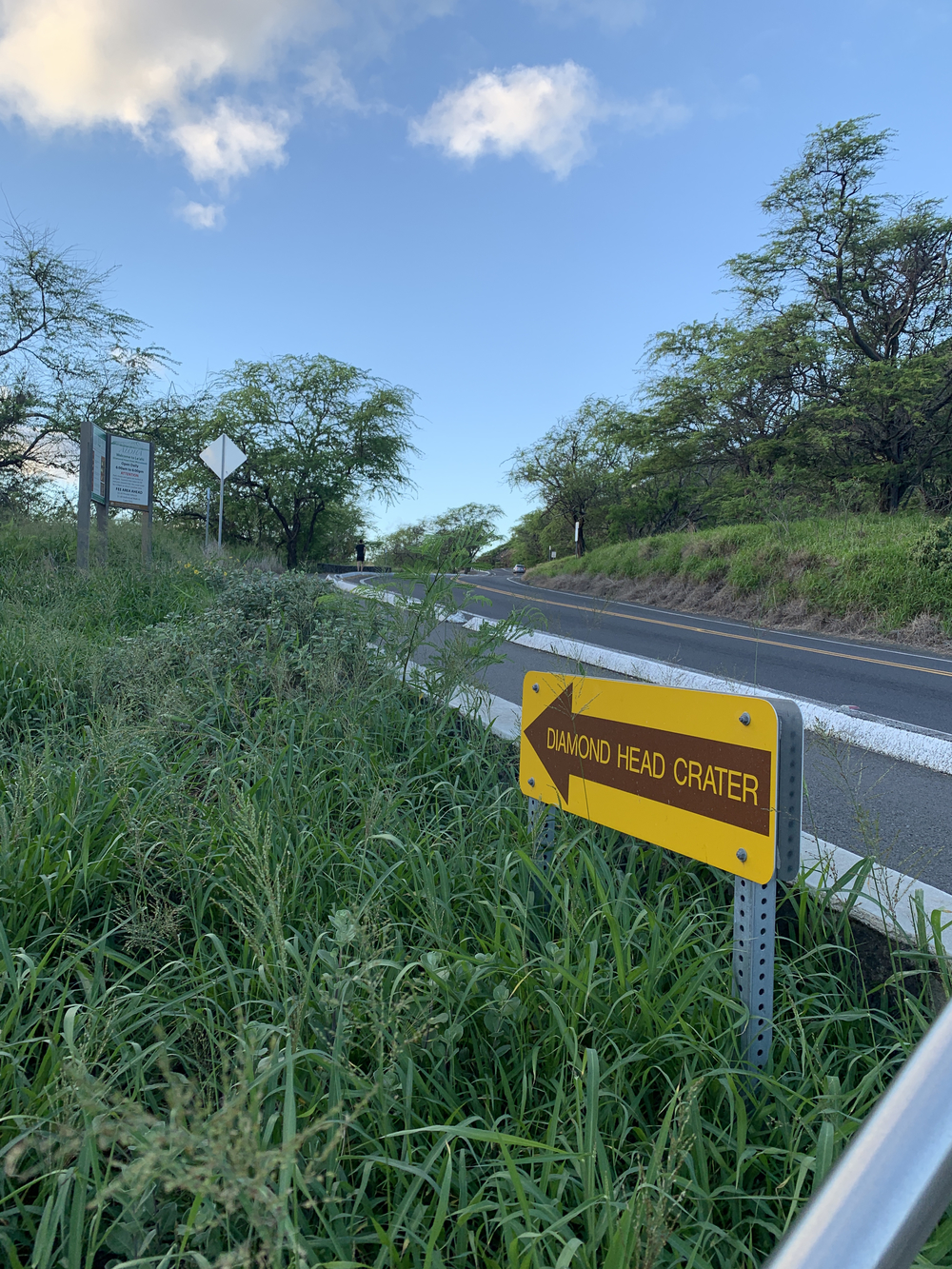 アロハな風を感じながらの写真6