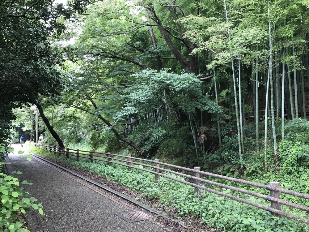 見沼 通船堀から代用水西縁の写真3