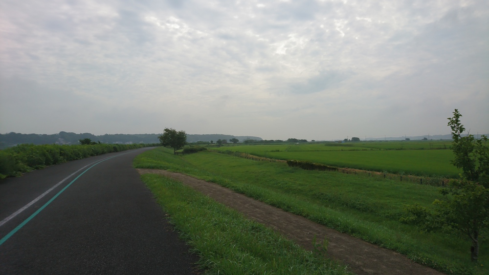 自然あふれる手賀沼周回＆白樺派の小径の写真3