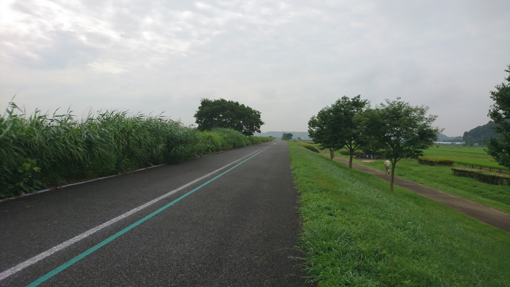 自然あふれる手賀沼周回＆白樺派の小径の写真5