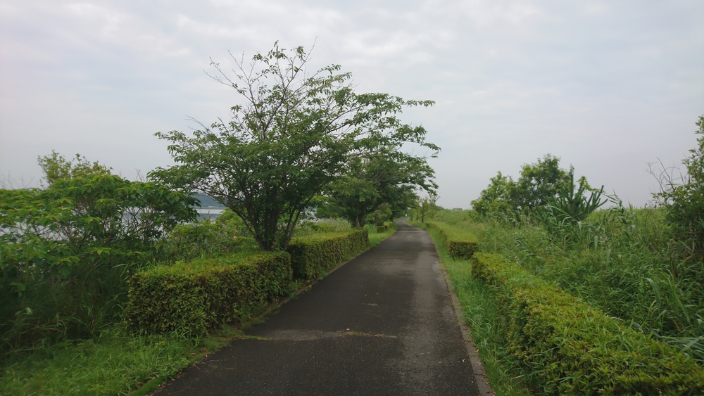 自然あふれる手賀沼周回＆白樺派の小径の写真7