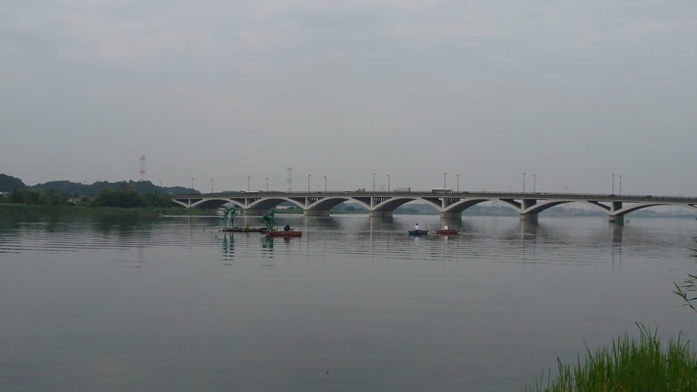 自然あふれる手賀沼周回＆白樺派の小径の写真9