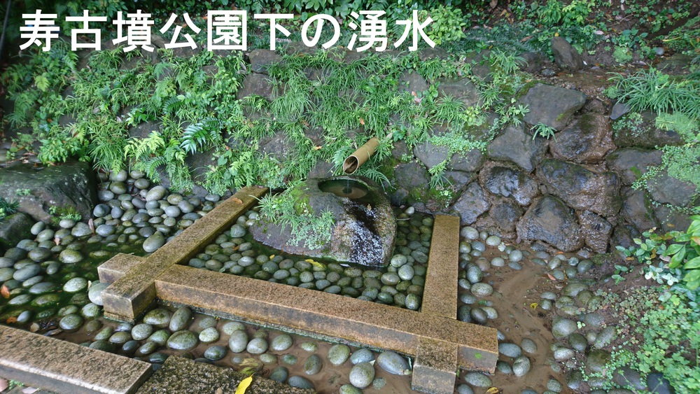 自然あふれる手賀沼周回＆白樺派の小径の写真12