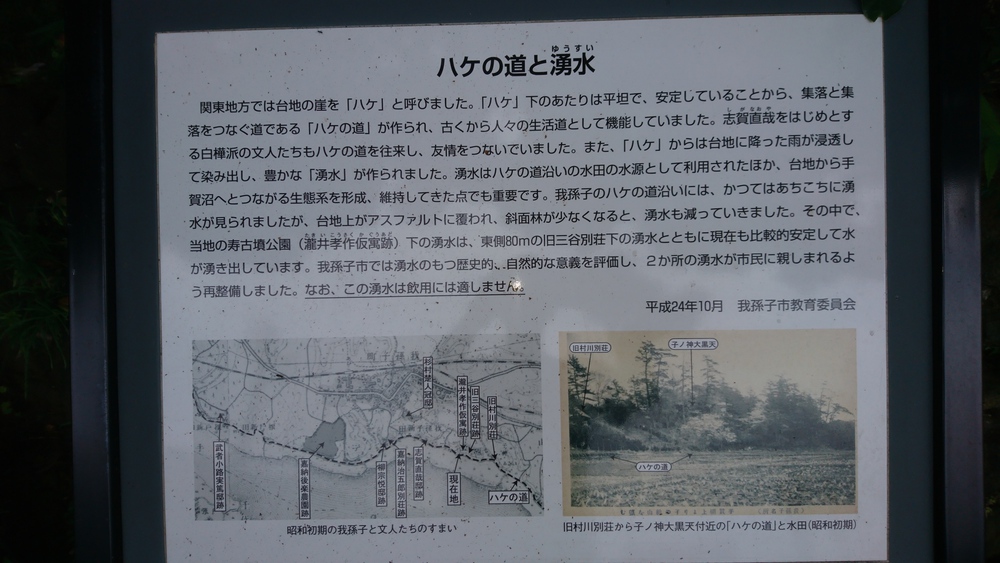 自然あふれる手賀沼周回＆白樺派の小径の写真14