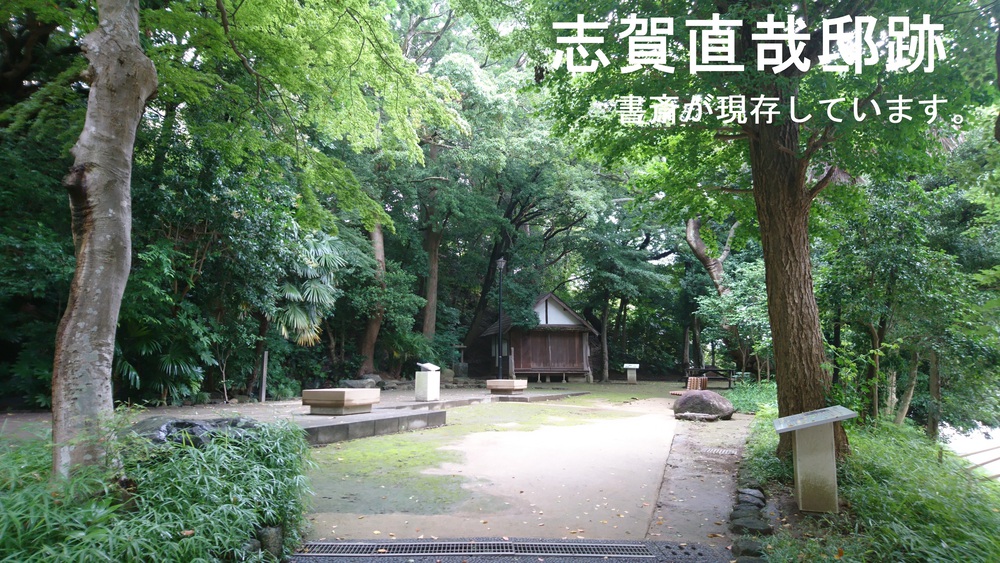 自然あふれる手賀沼周回＆白樺派の小径の写真15