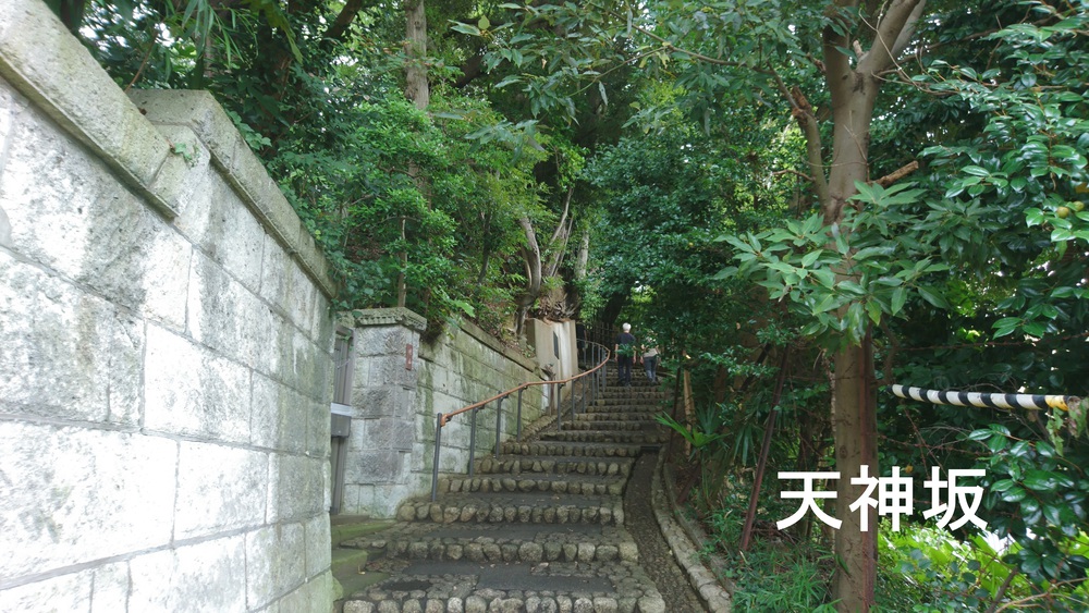 自然あふれる手賀沼周回＆白樺派の小径の写真16