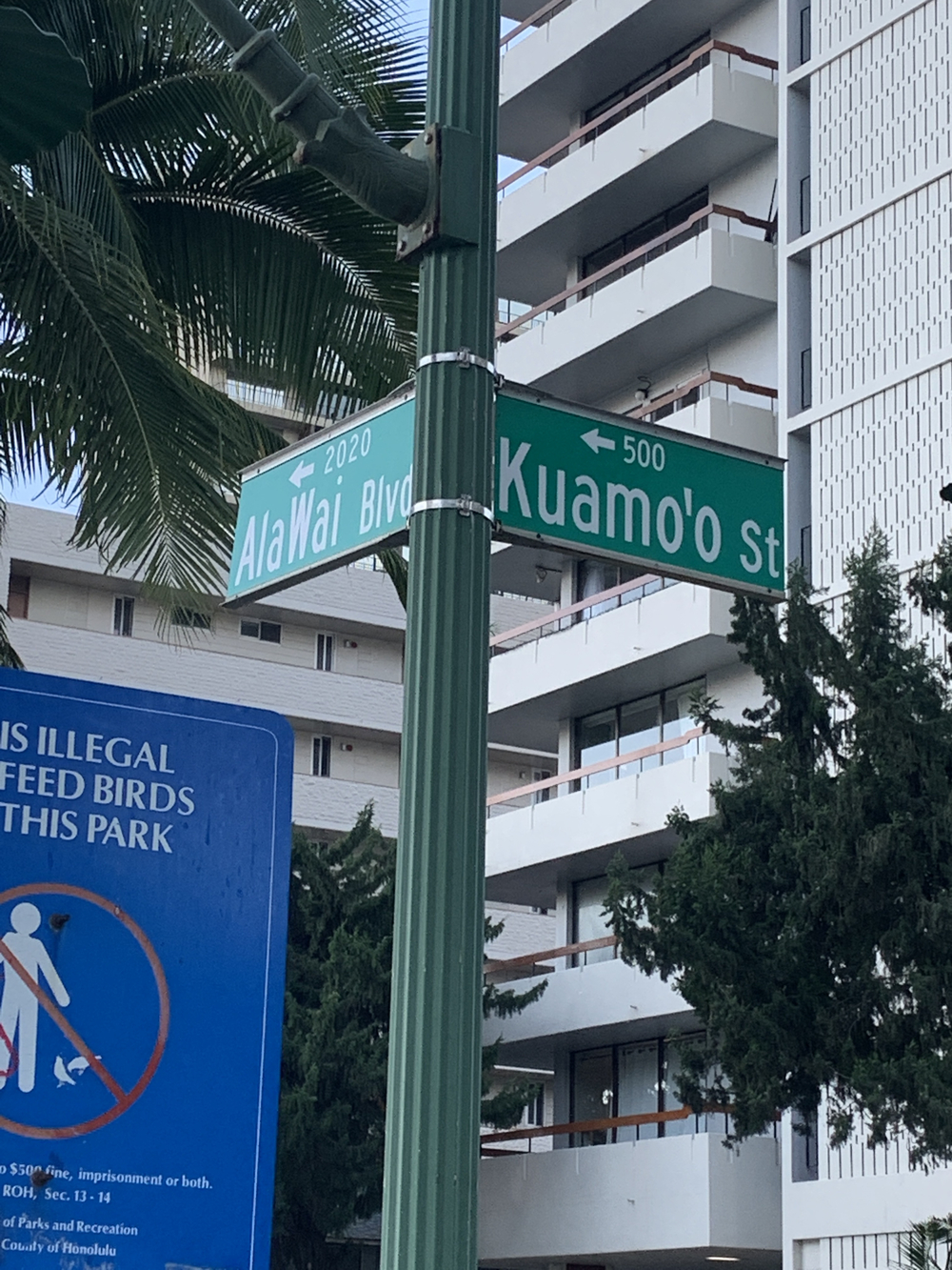 街からビーチとても爽やかな朝の写真9