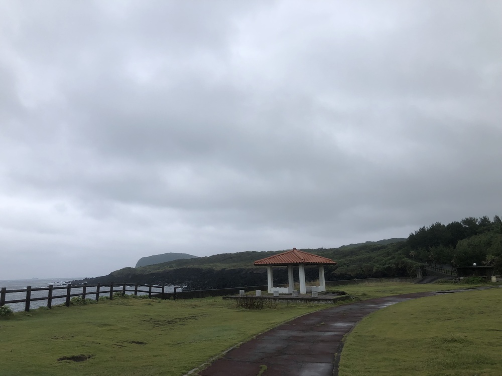 伊豆大島 サンセットパームライン 往復 10kmの写真3