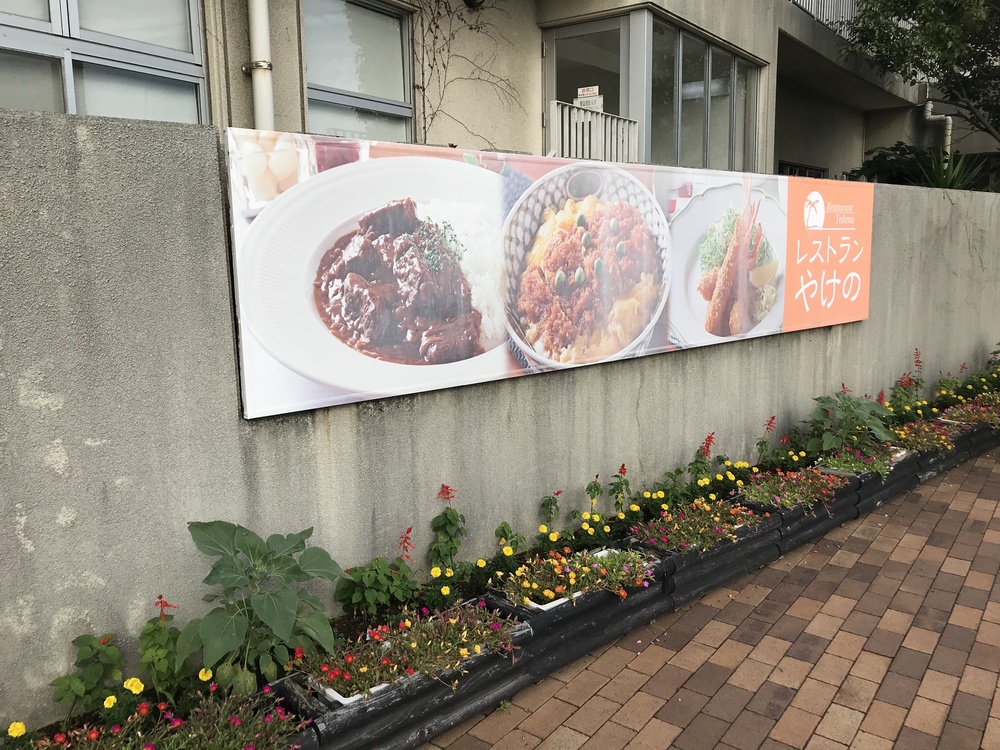 竜王山周遊コース5.8kmの写真6