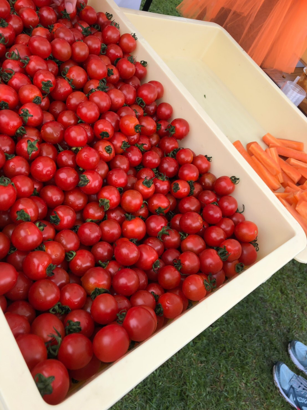 めちゃくちゃゆるくて楽しい♪小布施見にマラソンの写真3