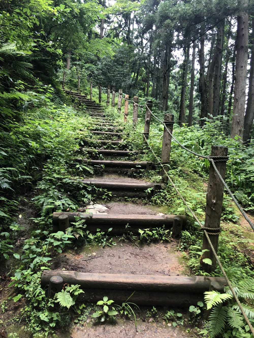 上杉謙信公の居城：春日山城跡をぐるりの写真13