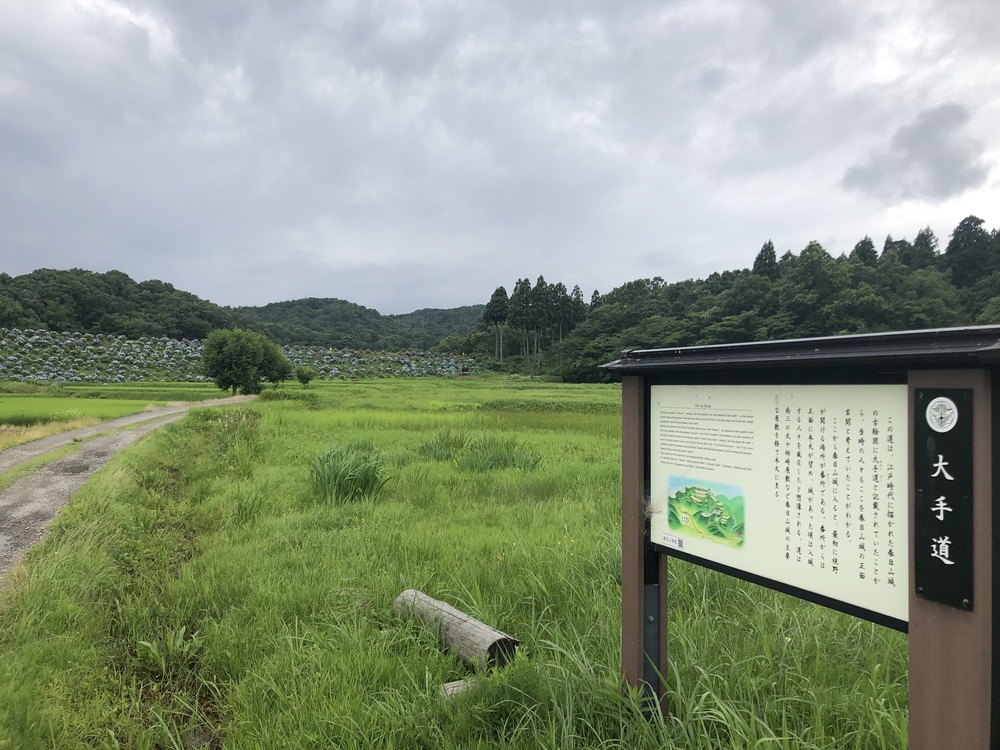 上杉謙信公の居城：春日山城跡をぐるりの写真14