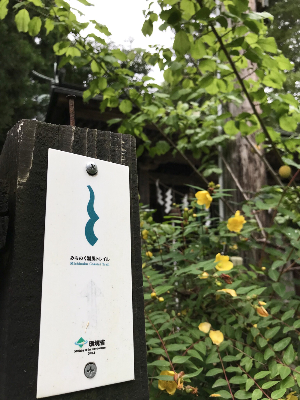 みちのく潮風トレイル(相馬市)の写真4