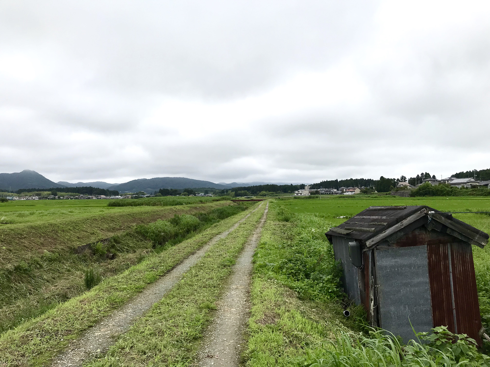 みちのく潮風トレイル(相馬市)の写真6