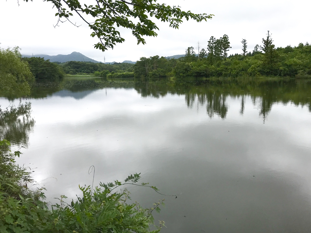 みちのく潮風トレイル(相馬市)の写真7