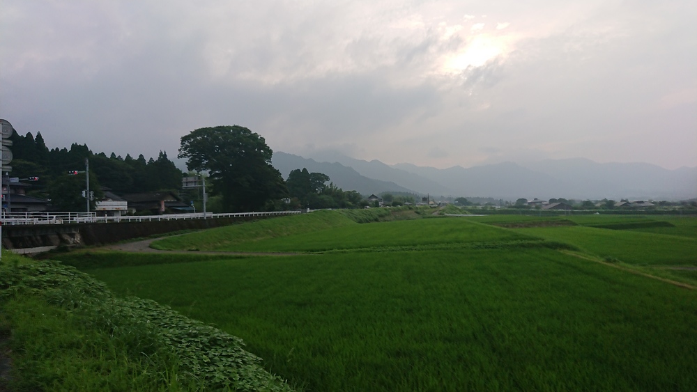 田舎道でLSD。暑さ慣れに最適‼️の写真4