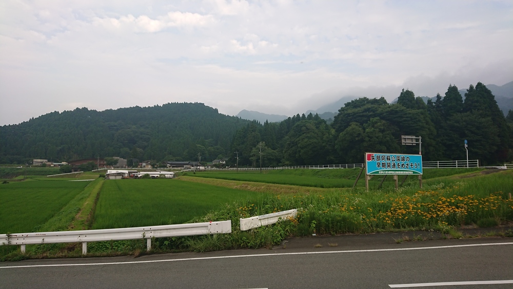 田舎道でLSD。暑さ慣れに最適‼️の写真5