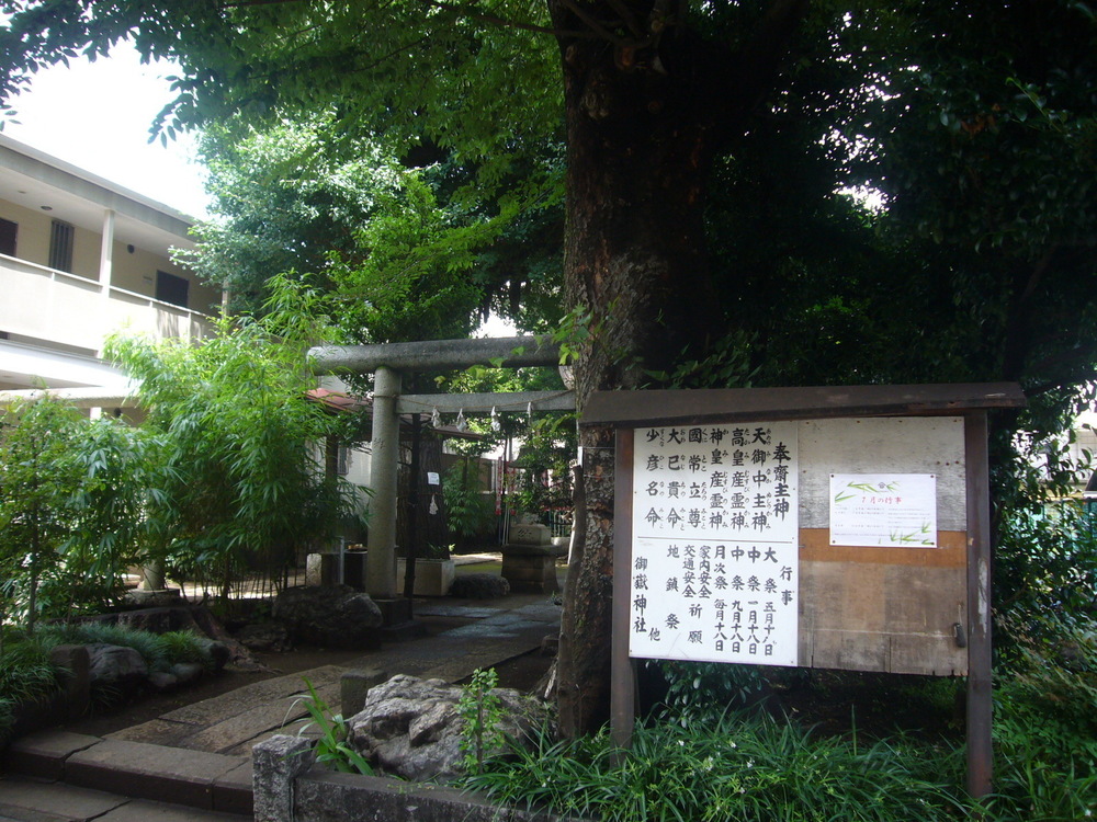 練馬中野杉並へ、八幡神社を巡るハーフマラソンの写真8