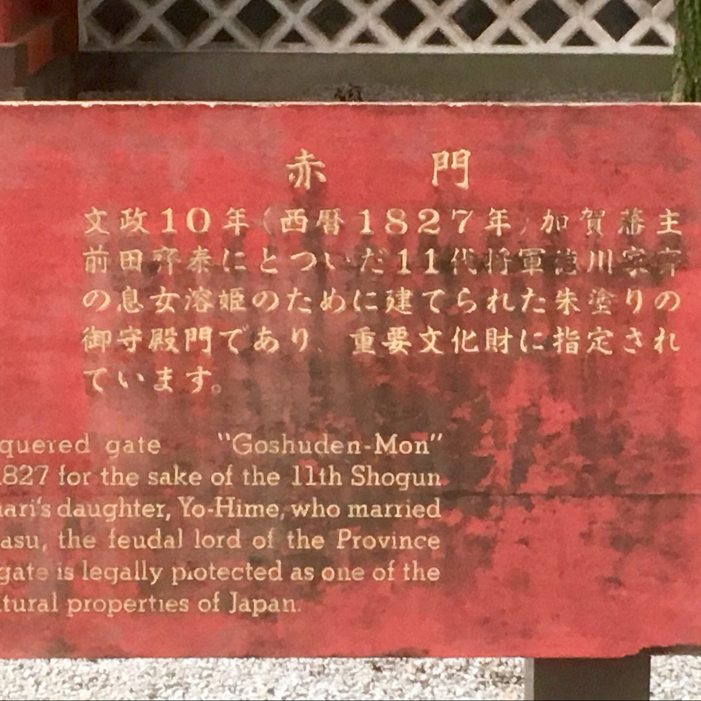 東京大学『赤門』を目指すRUN⁉️の写真3