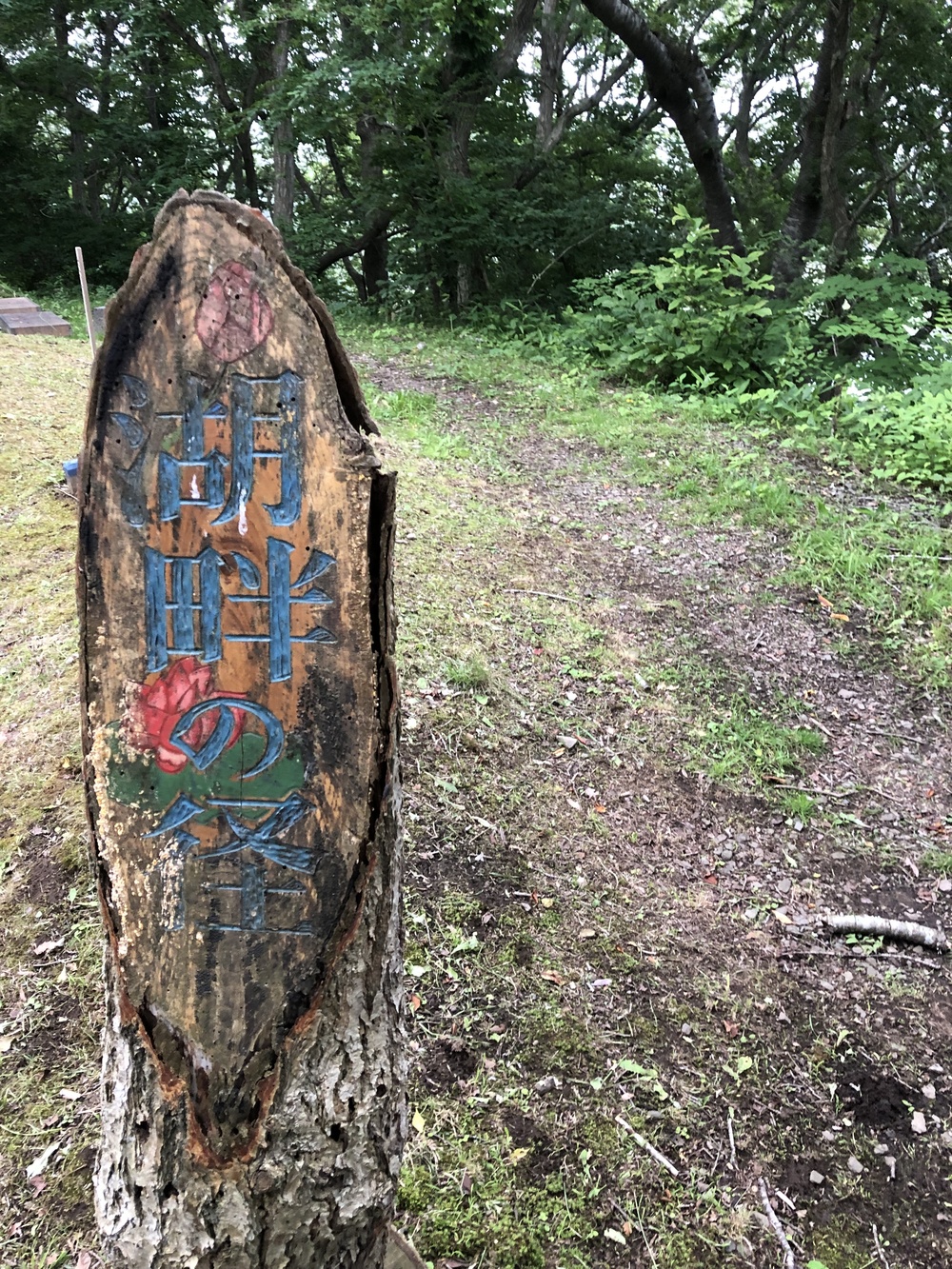 足元はしっかり枝払いしており程よいアップダウン。スピード練習にはもってこい！侮ってはいけないのがアトラクション有り。しっかり横倒しの丸太をJUMP！の写真6