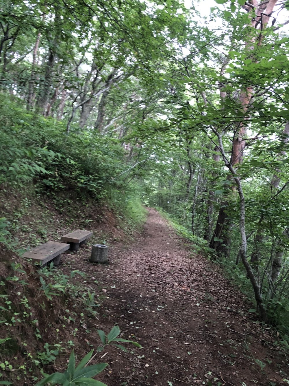 足元はしっかり枝払いしており程よいアップダウン。スピード練習にはもってこい！侮ってはいけないのがアトラクション有り。しっかり横倒しの丸太をJUMP！の写真9