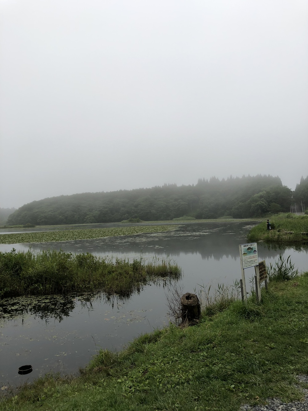 足元はしっかり枝払いしており程よいアップダウン。スピード練習にはもってこい！侮ってはいけないのがアトラクション有り。しっかり横倒しの丸太をJUMP！の写真11