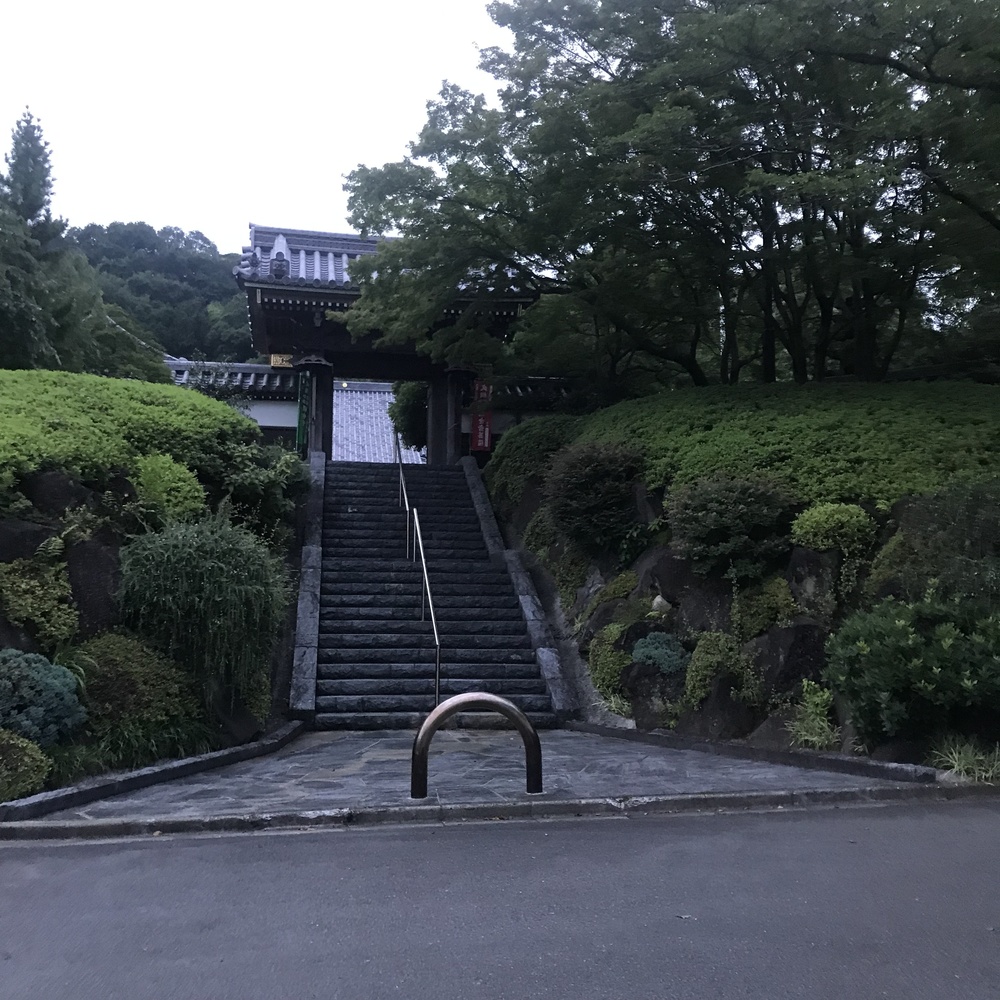 鶴川駅周辺の9キロの写真3