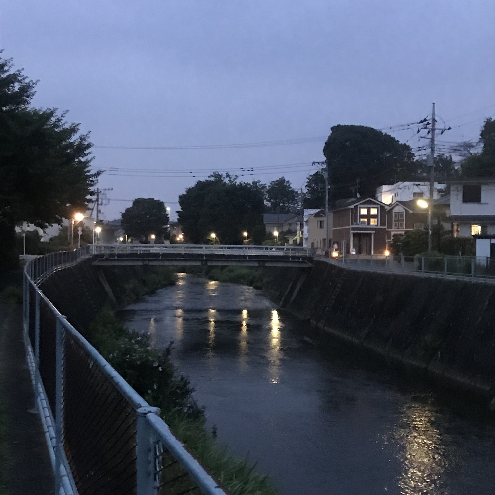 鶴川駅周辺の9キロの写真5