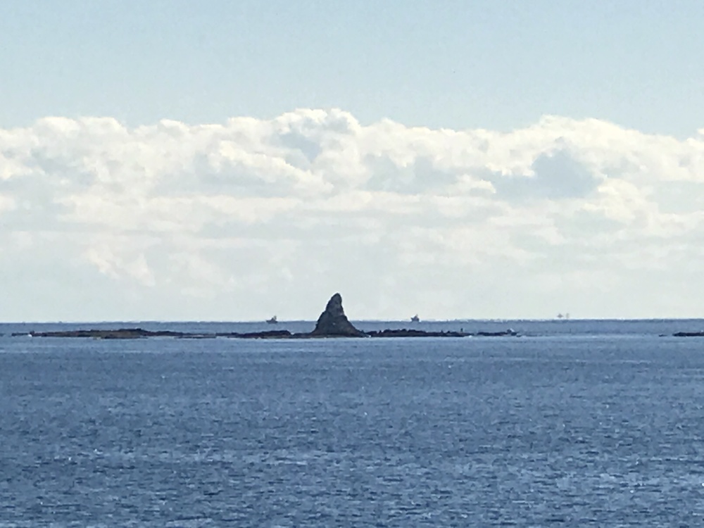 茅ヶ崎駅からサザンビーチ経由で竜泉寺の湯の写真3