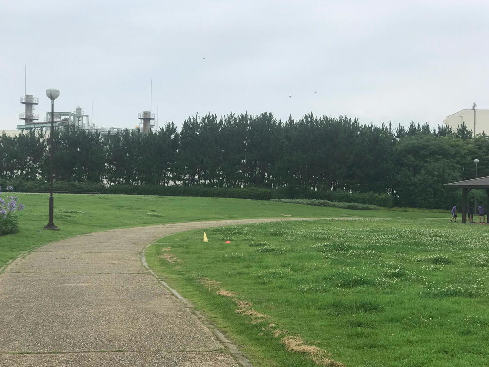 茅ヶ崎駅からサザンビーチ経由で竜泉寺の湯の写真5