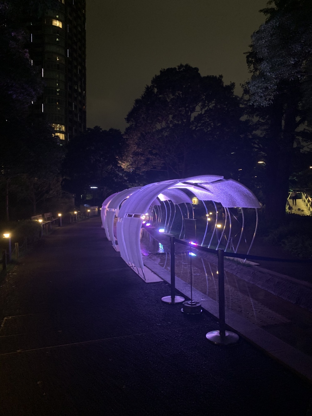 東京港区ナイトランの写真5