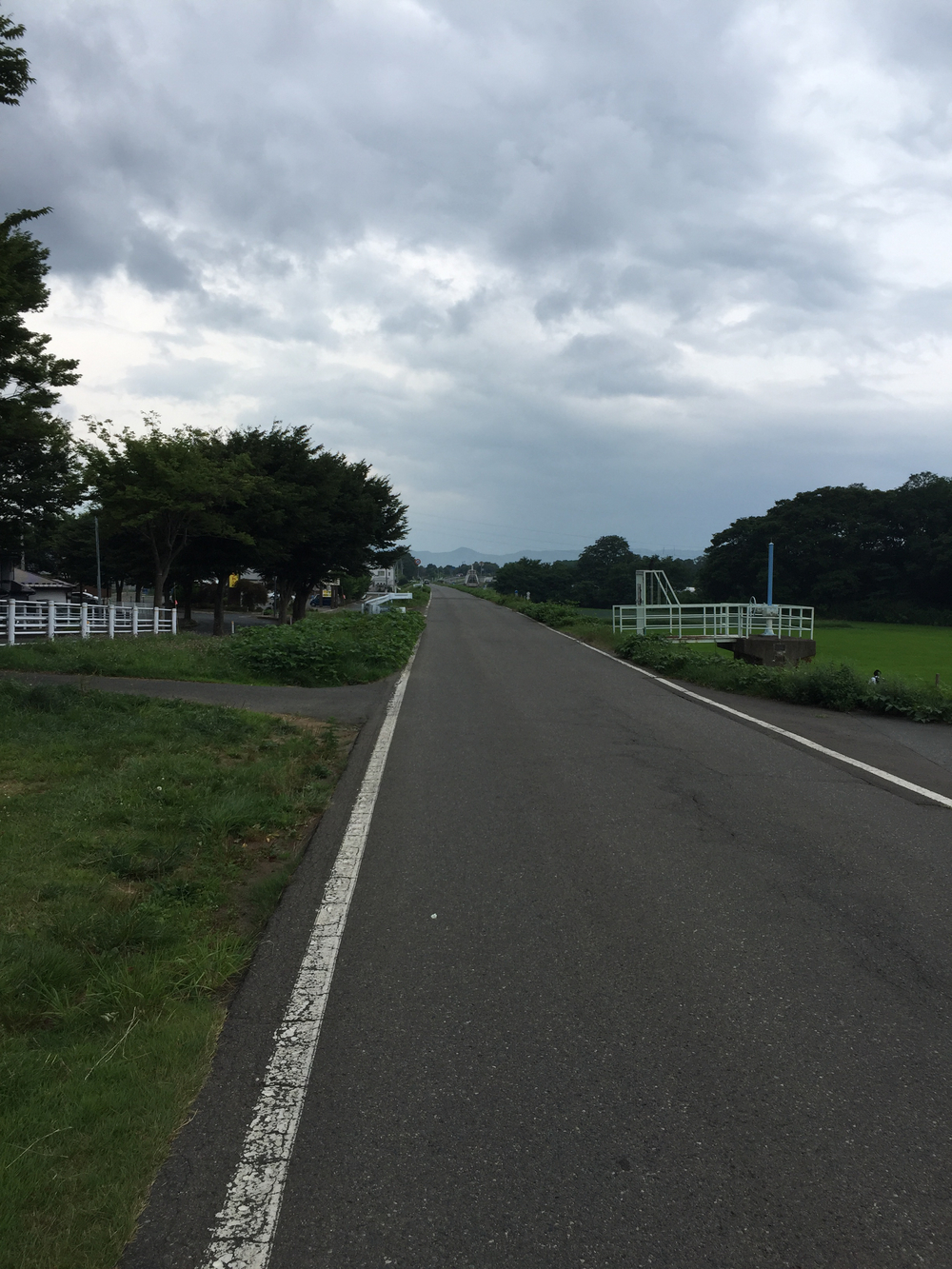 北上川の河川敷きを走ろう。の写真3