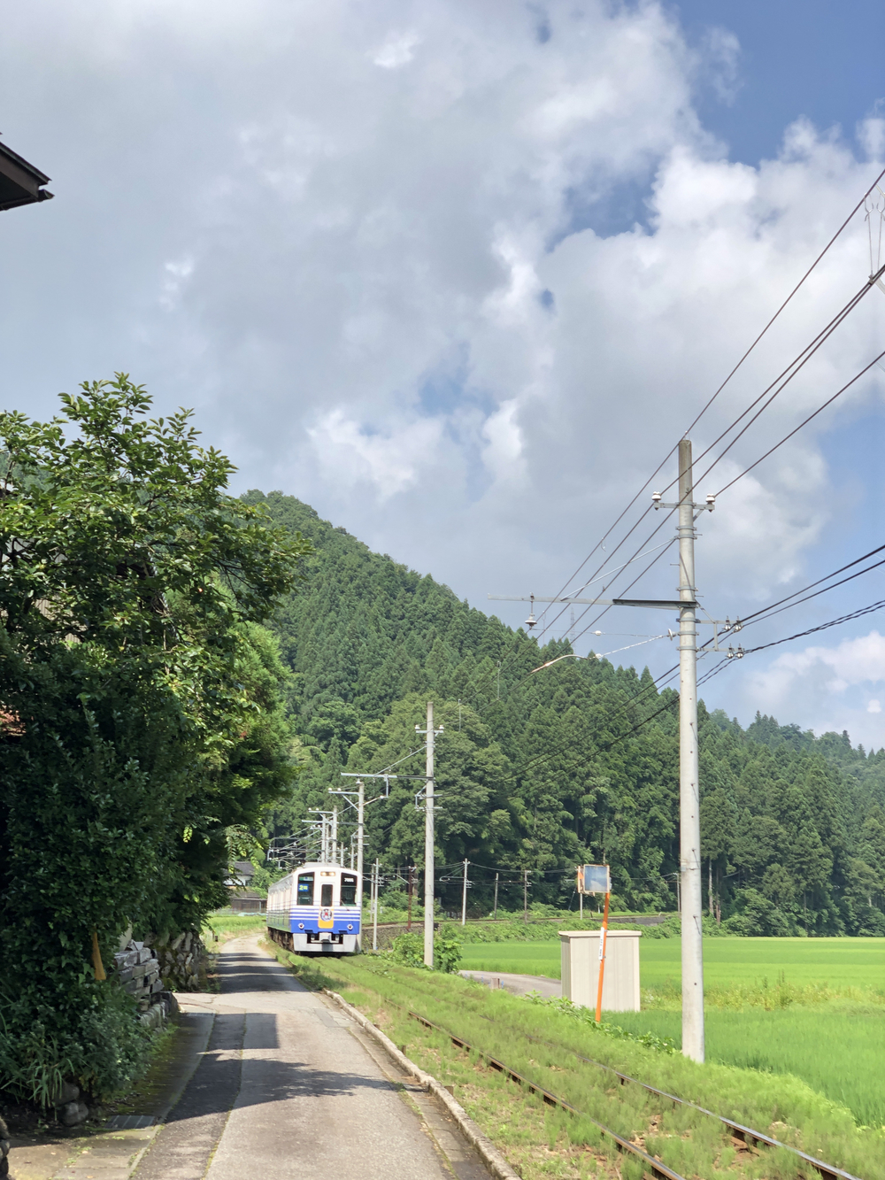 勝山市北半分を周回して、岩屋大杉参拝コースの写真3