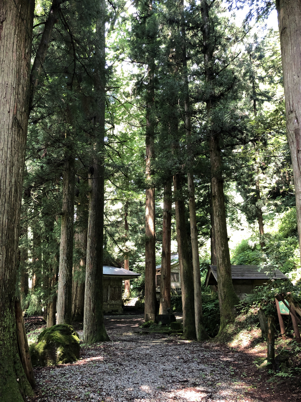 勝山市北半分を周回して、岩屋大杉参拝コースの写真8