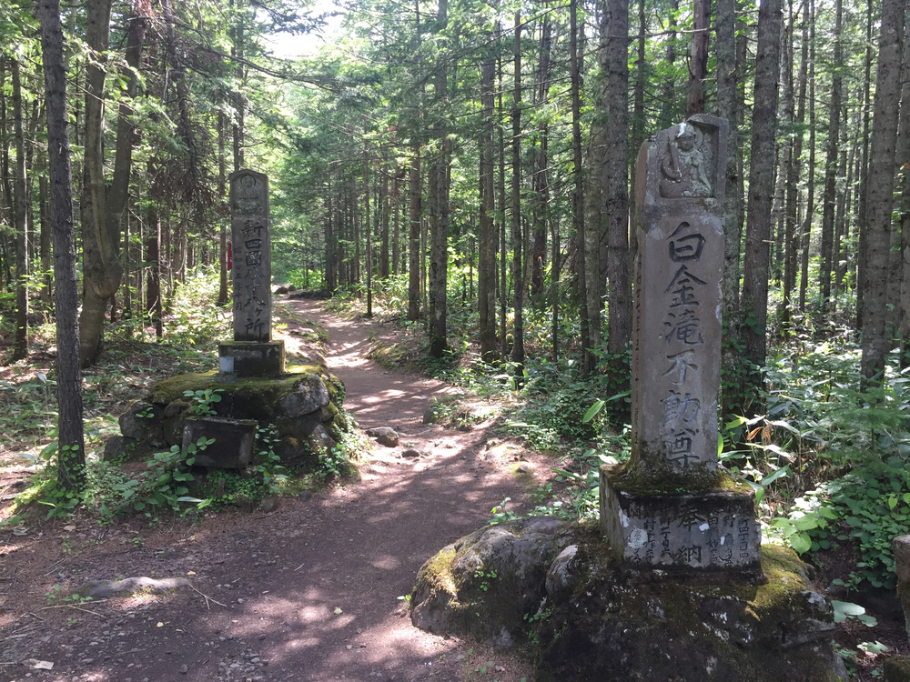 上富良野〜白金観光ランの写真6