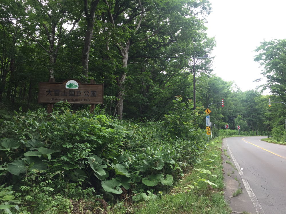 上富良野〜白金観光ランの写真7