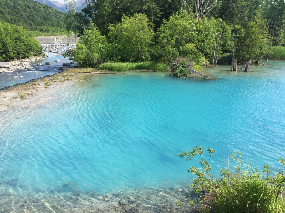 上富良野〜白金観光ランの写真10