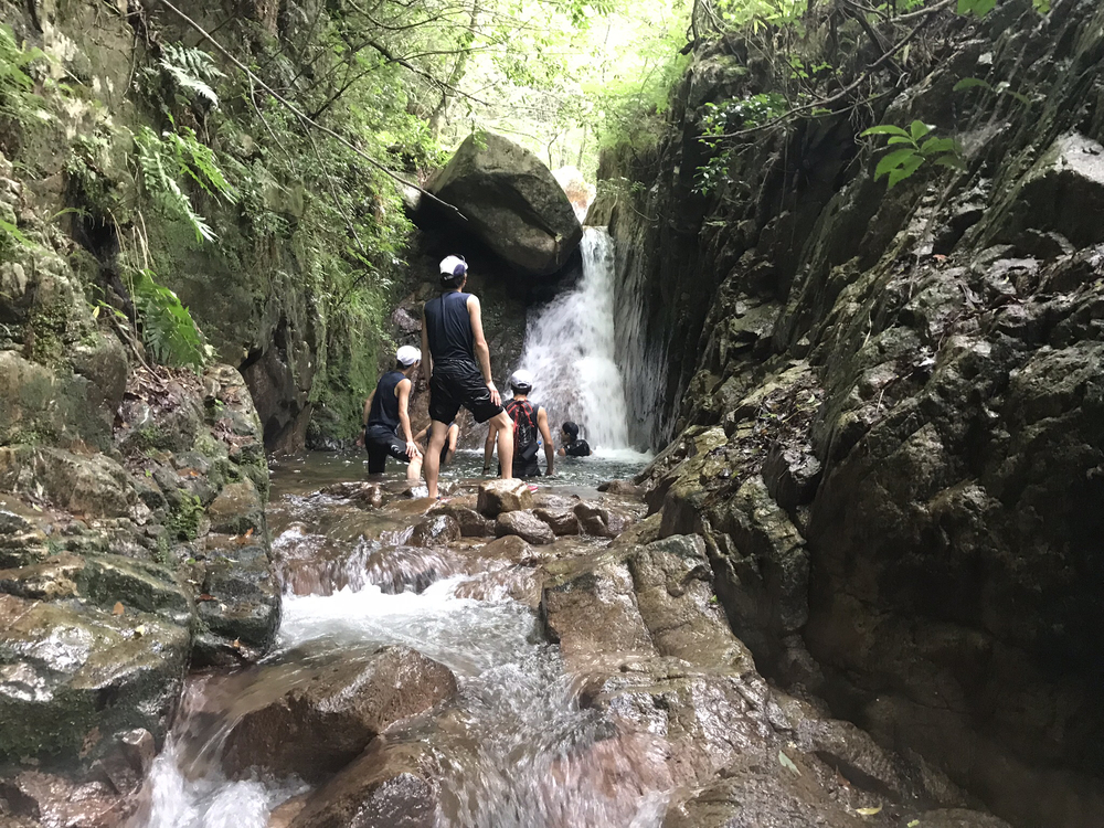 夏山サマートレイルの写真5