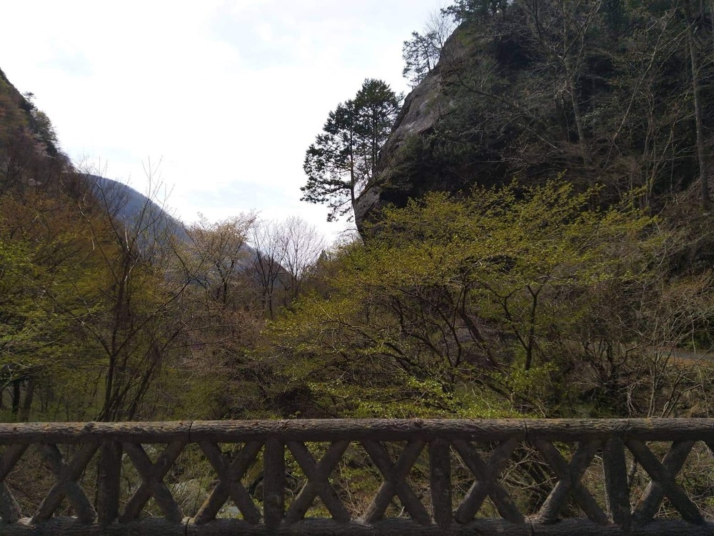 初夏の奥多摩の写真3