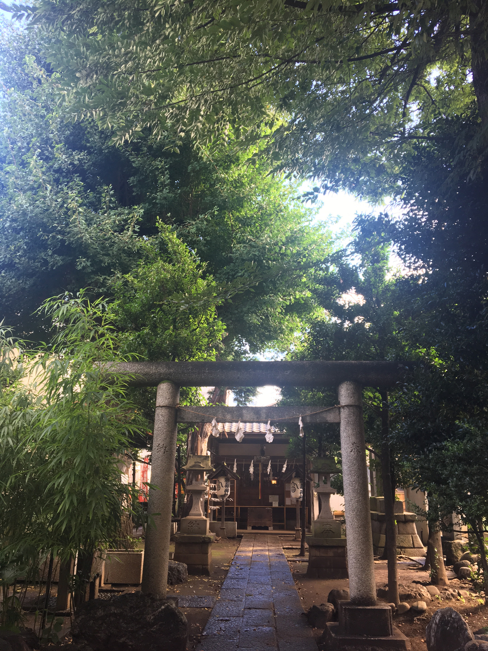 練馬の御嶽神社を巡る12kmの写真3