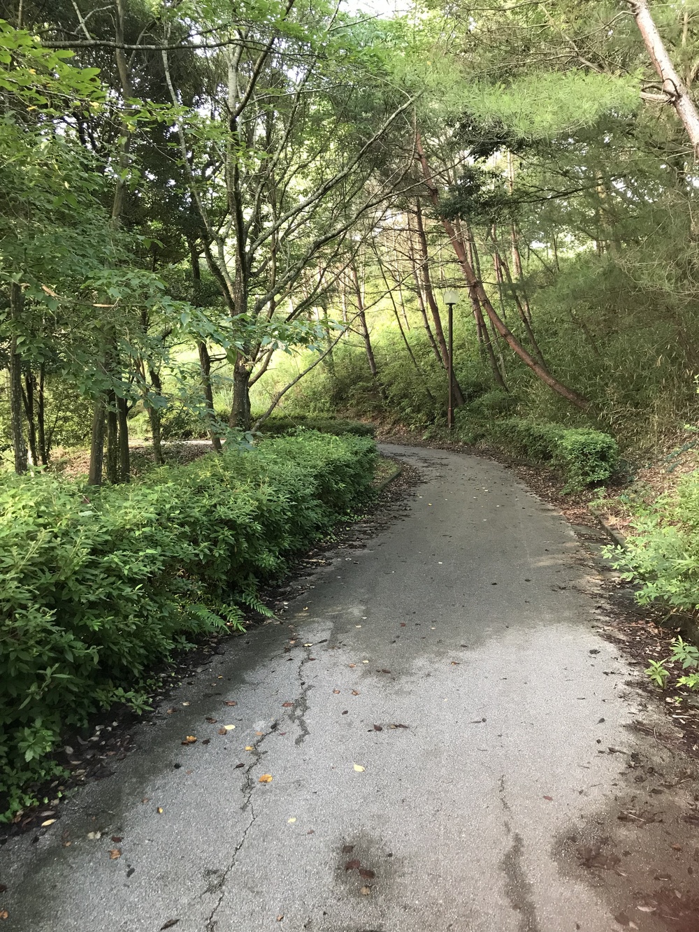 Ejioラン！の写真3