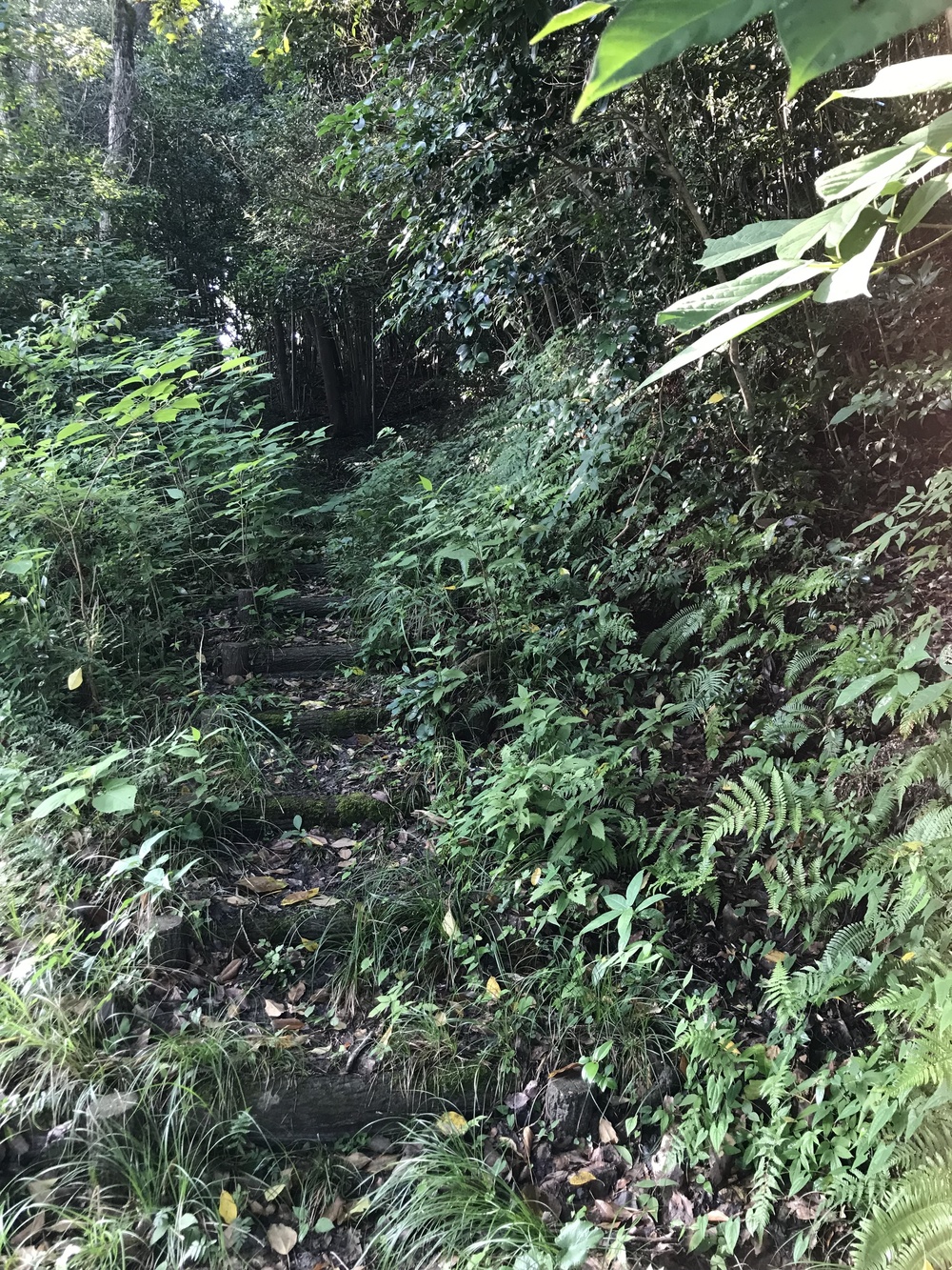 Ejioラン！の写真5