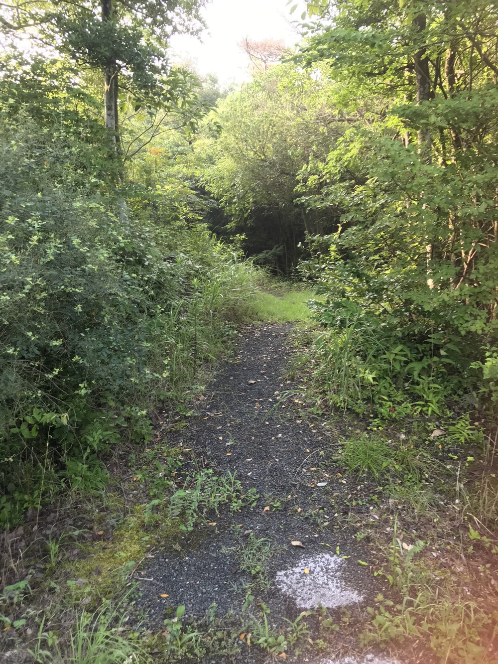 Ejioラン！の写真6