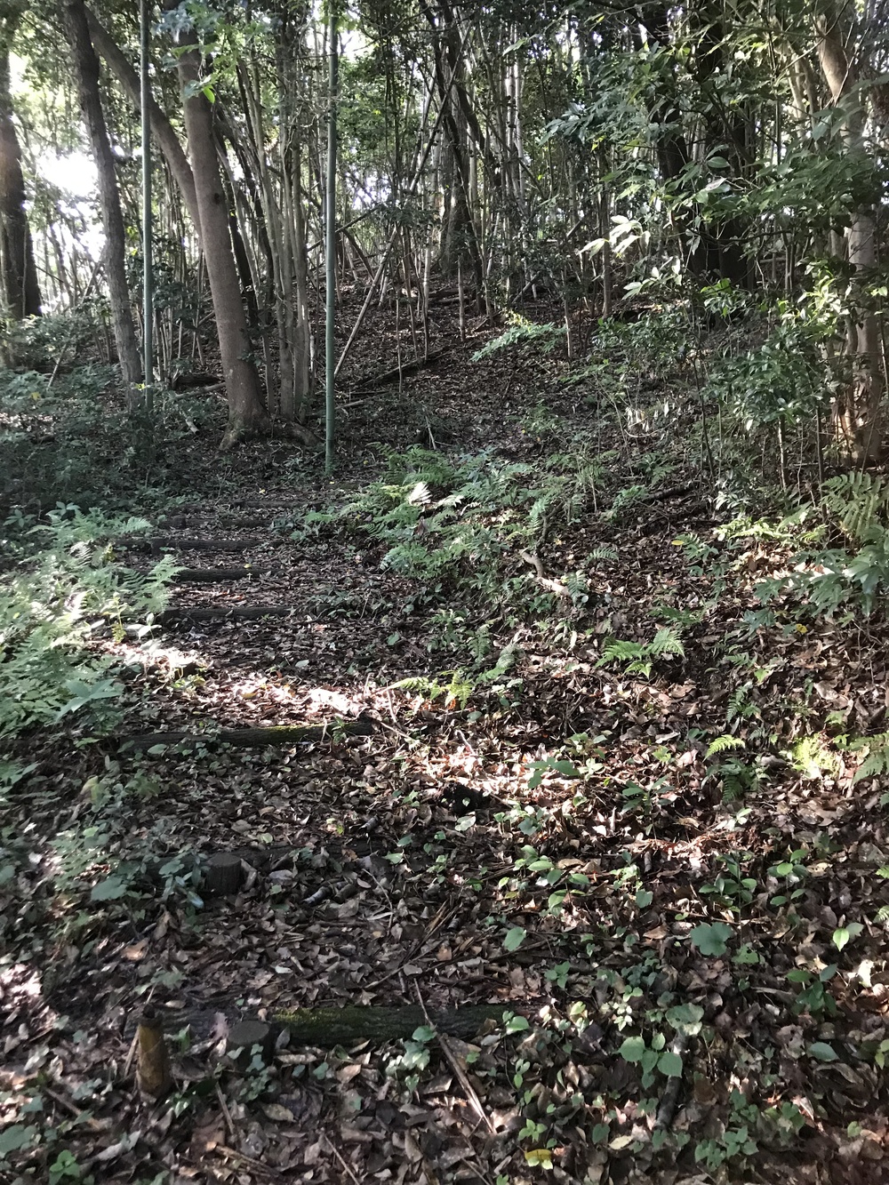 Ejioラン！の写真7