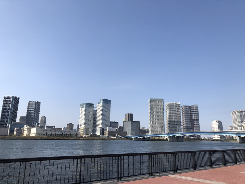 東京駅〜東京タワー〜レインボーブリッジ〜豊洲の写真8