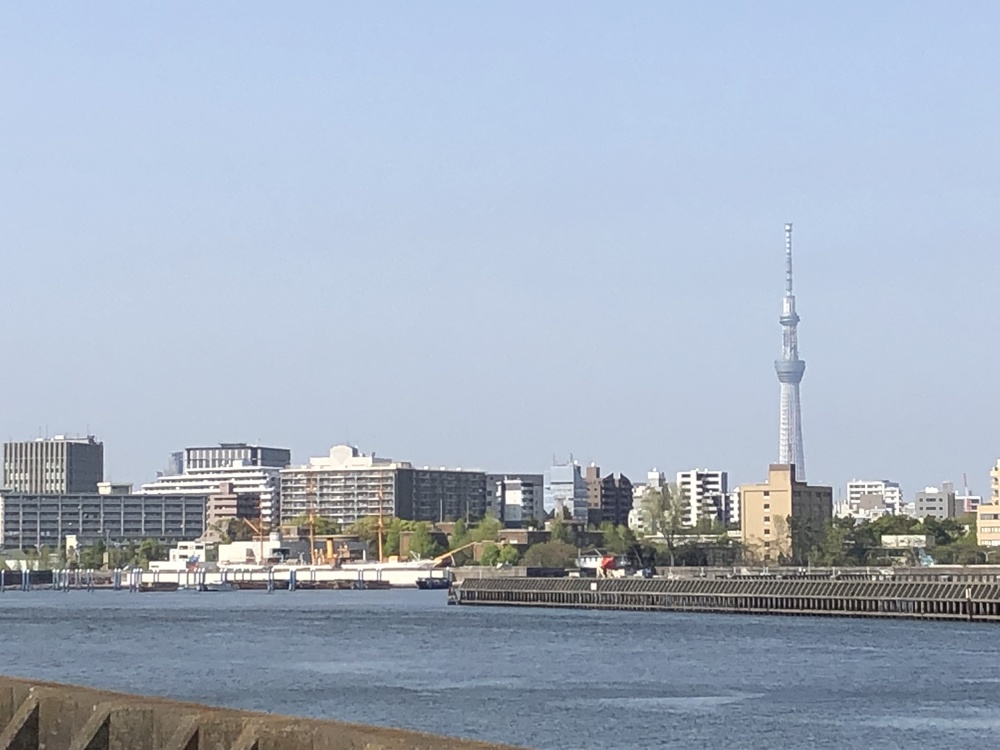 東京駅〜東京タワー〜レインボーブリッジ〜豊洲の写真10