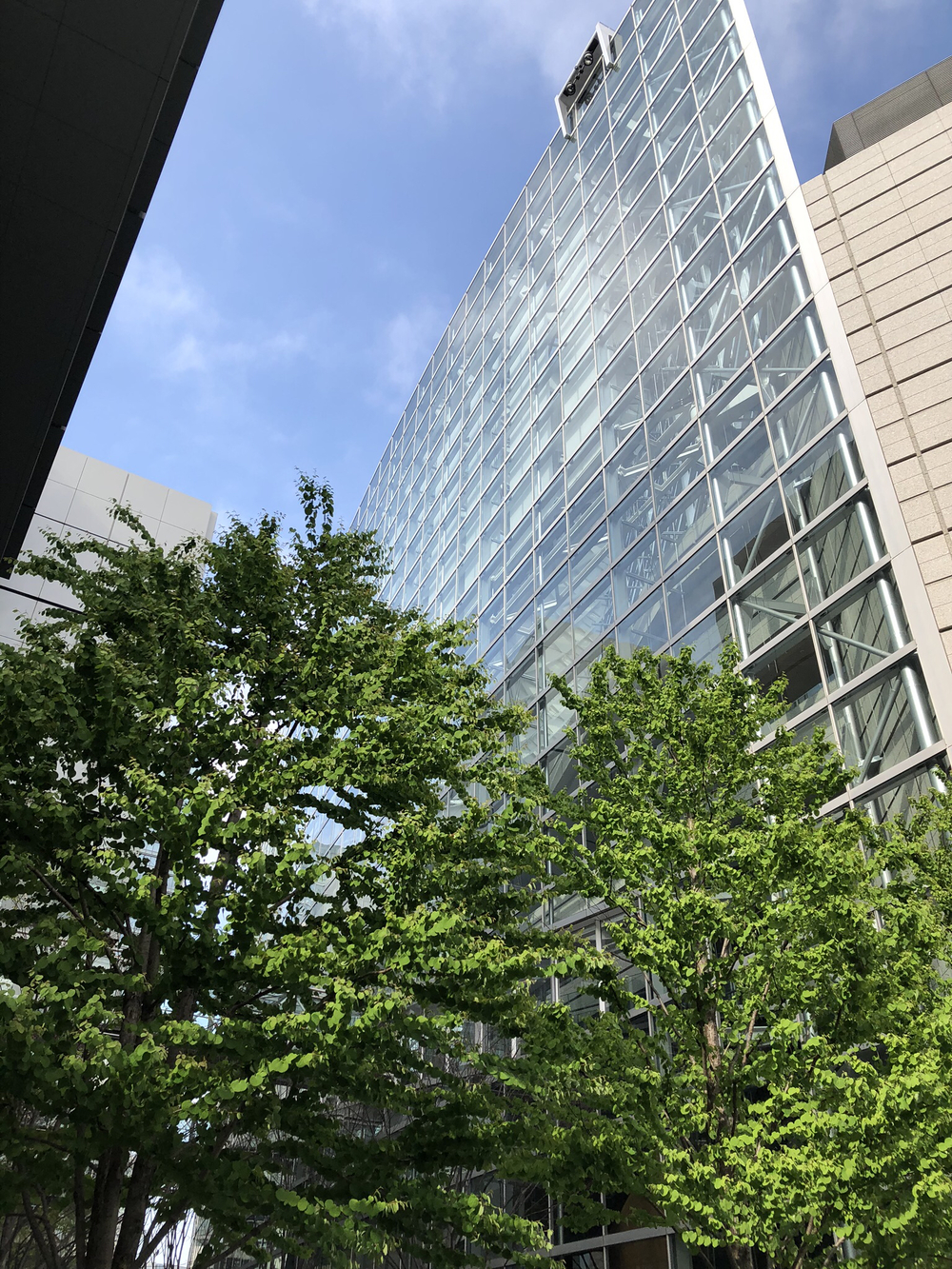 東京駅〜東京タワー〜レインボーブリッジ〜豊洲の写真11