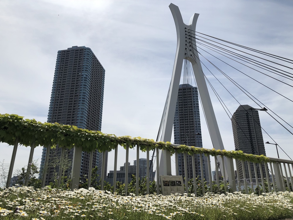 東京駅〜スカイツリー〜雷門の写真3